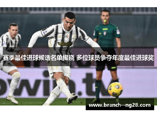 赛季最佳进球候选名单揭晓 多位球员争夺年度最佳进球奖