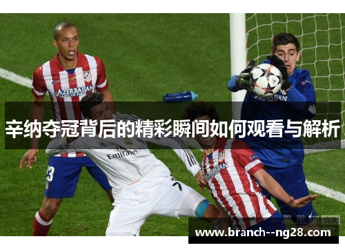 辛纳夺冠背后的精彩瞬间如何观看与解析